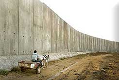 wall israel