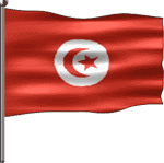 tunbsir flag